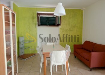 IMG20250528120733.jpg - Trilocale Polverigi - foto 5