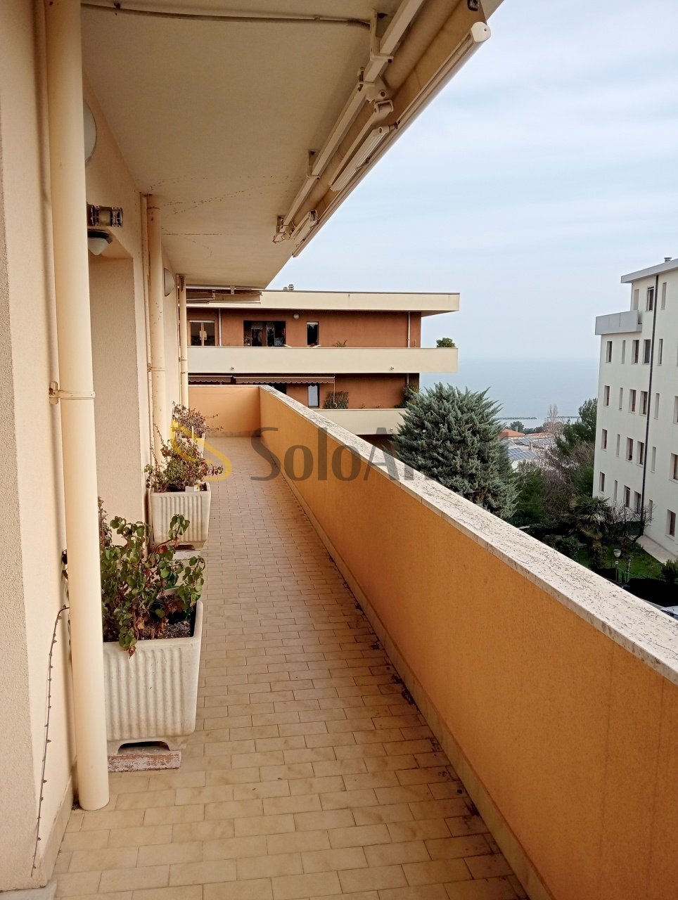 IMG20250210111539.jpg - Quadrilocale Falconara Marittima - foto 2