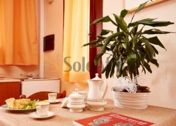 IMG-20250912-WA0023.jpg - Casa indipendente Località Quercette - Pescia 1, Montalto di Castro - foto 3