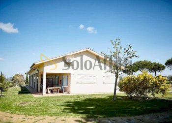 IMG-20250912-WA0025.jpg - Casa indipendente Località Quercette - Pescia 1, Montalto di Castro - foto 5