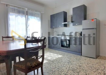 20250719_102915.jpg - Appartamento Carpi - foto 1