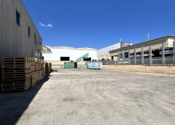 dettagli - Locale Commerciale Strada Provinciale Palese-modugno 12, Modugno - foto 7