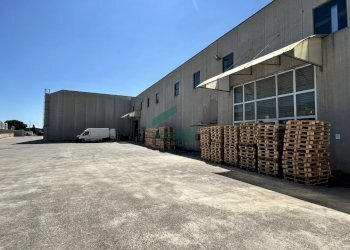 dettagli - Locale Commerciale Strada Provinciale Palese-modugno 12, Modugno - foto 8