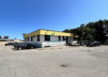 dettagli - Locale Commerciale Strada Provinciale Palese-modugno 12, Modugno - foto 24