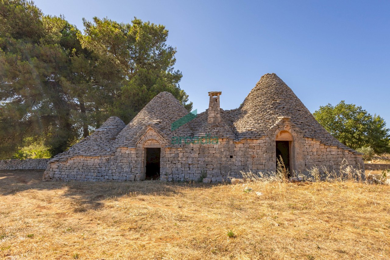 prospetto - Casale Contrada Scrasciolla 13, Alberobello - foto 1