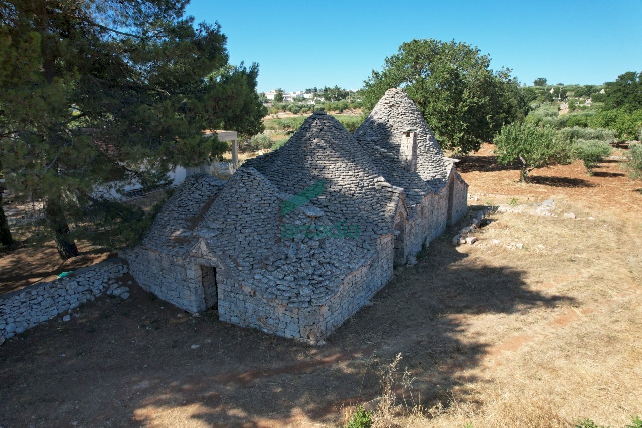 vista ovest - Casale Contrada Scrasciolla 13, Alberobello - foto 2