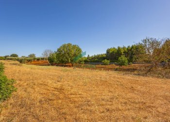 campagna - Casale Contrada Scrasciolla 13, Alberobello - foto 7
