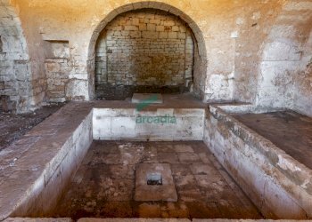 palmento - Casale Contrada Scrasciolla 13, Alberobello - foto 11