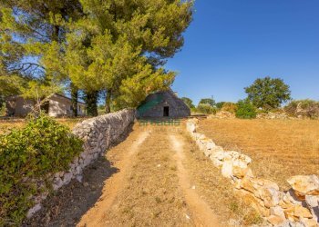 strada accesso - Casale Contrada Scrasciolla 13, Alberobello - foto 16