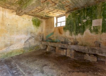 stalla - Casale Contrada Mancini 16, Locorotondo - foto 17