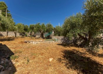 vista terreno - Casale Contrada Mancini 16, Locorotondo - foto 20