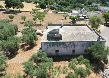 vista posteriore - Casale Contrada Mancini 16, Locorotondo - foto 24