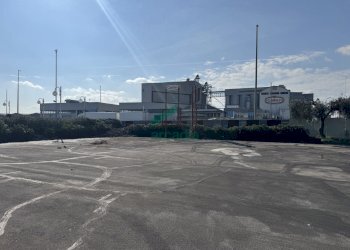 Vista piazzale - Commercial Premises S.P. 231 km 80, 660, Modugno - photo 22