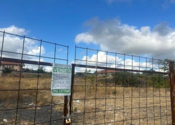 terreno - Agricultural land Mascalucia - photo 1