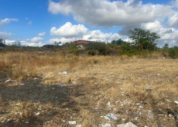 terreno - Agricultural land Mascalucia - photo 2