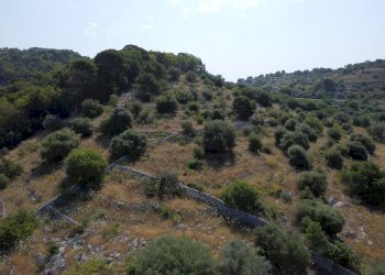 4.JPG - Rustico Contrada Bosco Pozzo Cassero 23, Modica - foto 4