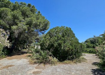 20250527_110028.jpg - Villa Via Sorda Sampieri 197, Modica - foto 9