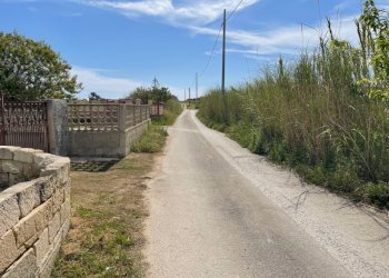 IMG_9653.jpg - Terreno edificabile via fiordaliso, Ispica - foto 5