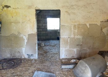 IMG_9463.jpg - Rustico contrada marchisella, Ragusa - foto 2