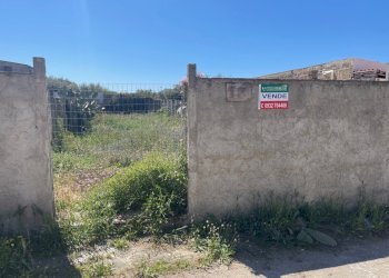 IMG_9563.jpg - Terreno agricolo Via Maresciallo Francesco Gallo, Vittoria - foto 1