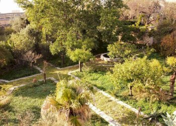 PHOTO-2024-11-29-09-43-52.jpg - Villa VIALE DELLE INDUSTRIE, Modica - foto 25