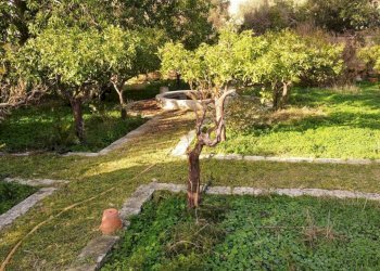 PHOTO-2024-11-29-09-44-00.jpg - Villa VIALE DELLE INDUSTRIE, Modica - foto 29