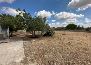 IMG_7779.jpg - Villa SP45 2a, Modica - foto 5