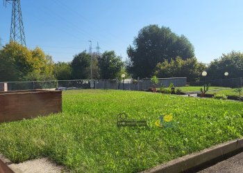 20250919_103554.jpg - Appartamento Via Domenico Pedretti 9, Parma - foto 4