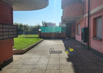 20250919_103527.jpg - Appartamento Via Domenico Pedretti 9, Parma - foto 5