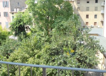 DSC02391.JPG - Bilocale Via Primo Groppi 14, Parma - foto 7