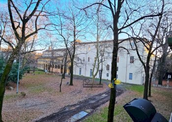 20250115_161131.jpg - Trilocale Strada Garibaldi 45, Parma - foto 12