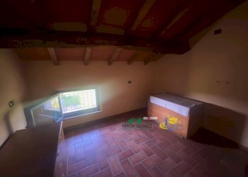 IMG_3203.jpeg - Villa Via Centolance 6b, Noceto - foto 28