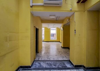 20250616_092918.jpg - Commercial Premises Via Carlo Goldoni 5, Parma - photo 8