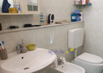 WhatsApp Image 2024-08-20 at 12.39.35.jpeg - Appartamento Via Mantova, Parma - foto 28