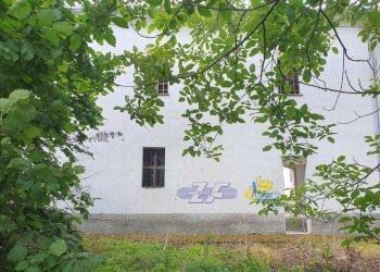 WhatsApp Image 2025-05-20 at 16.21.17 (1).jpeg - Porzione di casa Langhirano - foto 20