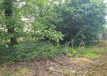 WhatsApp Image 2025-05-20 at 16.21.24.jpeg - Porzione di casa Langhirano - foto 22