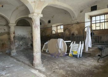 WhatsApp Image 2025-05-20 at 16.17.48.jpeg - Porzione di casa VIA CAVAILLON 7, Langhirano - foto 4