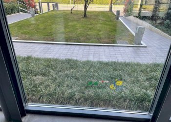 giardino condominiale.jpg - Bilocale via sidoli, Parma - foto 13