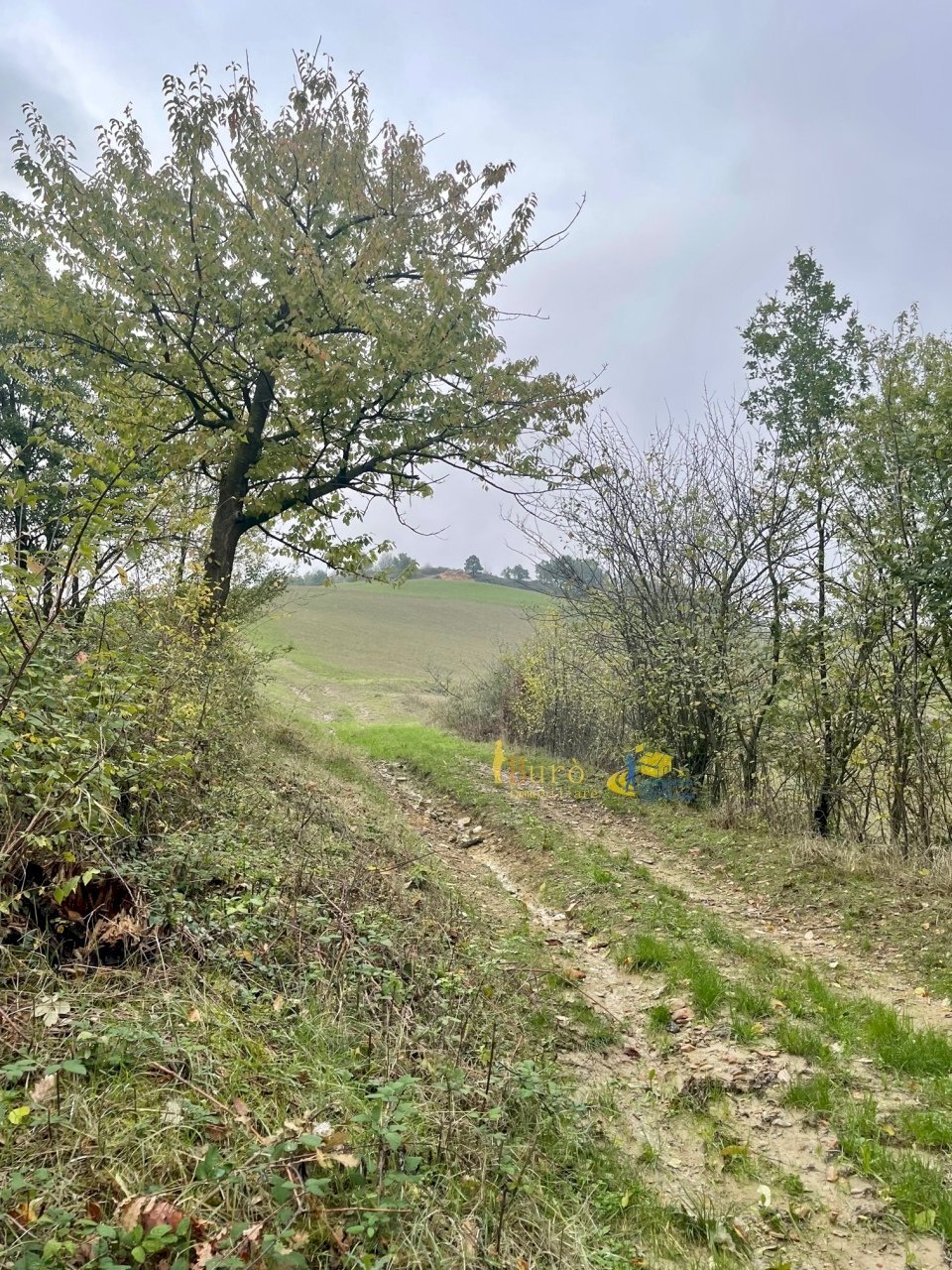 IMG_4136.jpg - Agricultural land strada mulino segantini stecchina, Parma - photo 1