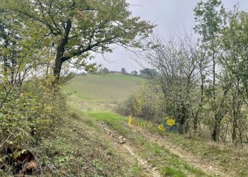 IMG_4136.jpg - Agricultural land strada mulino segantini stecchina, Parma - photo 1