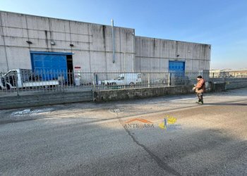 Commercial Premises Parma - photo 1