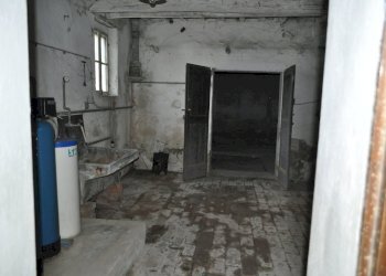 DSC_0021.JPG - Rustico San Quirico, Sissa Trecasali - foto 5