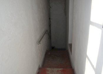 DSC_0029.JPG - Rustico San Quirico, Sissa Trecasali - foto 13