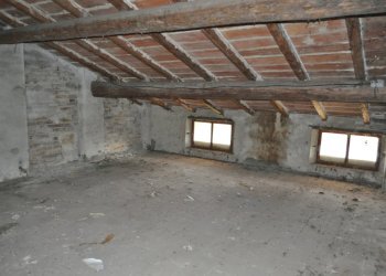 DSC_0033.JPG - Rustico San Quirico, Sissa Trecasali - foto 17