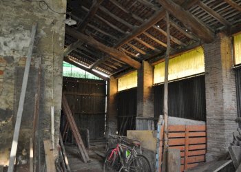 DSC_0038.JPG - Rustico San Quirico, Sissa Trecasali - foto 22