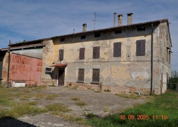 DSC_0006.JPG - Rustico San Quirico, Sissa Trecasali - foto 29
