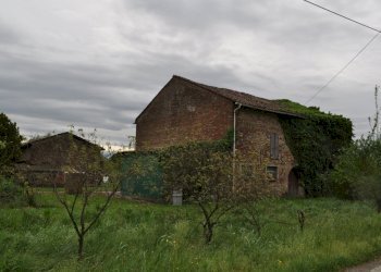 DSC_0024.JPG - Rustico Strada Colmignola 2, San Secondo Parmense - foto 9