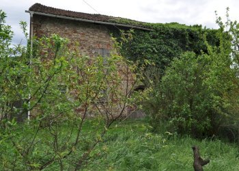 DSC_0025.JPG - Rustico Strada Colmignola 2, San Secondo Parmense - foto 10