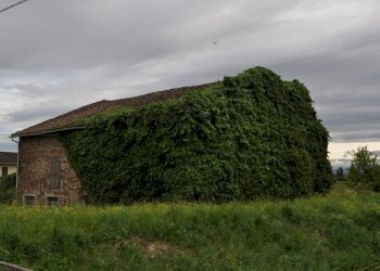 DSC_0026.JPG - Rustico Strada Colmignola 2, San Secondo Parmense - foto 11