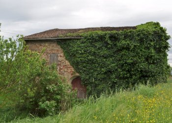 DSC_0027.JPG - Rustico Strada Colmignola 2, San Secondo Parmense - foto 12